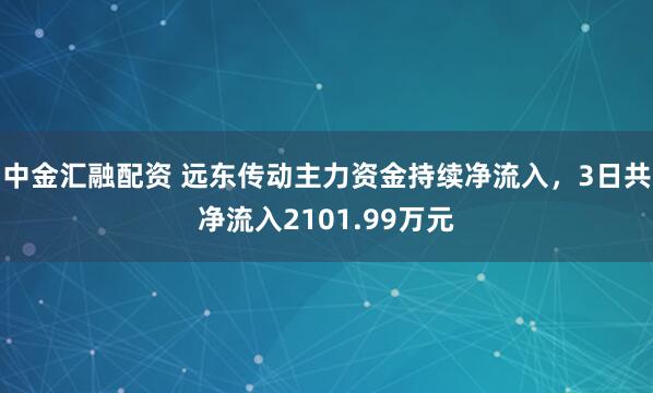中金汇融配资 远东传动主力资金持续净流入，3日共净流入2101.99万元