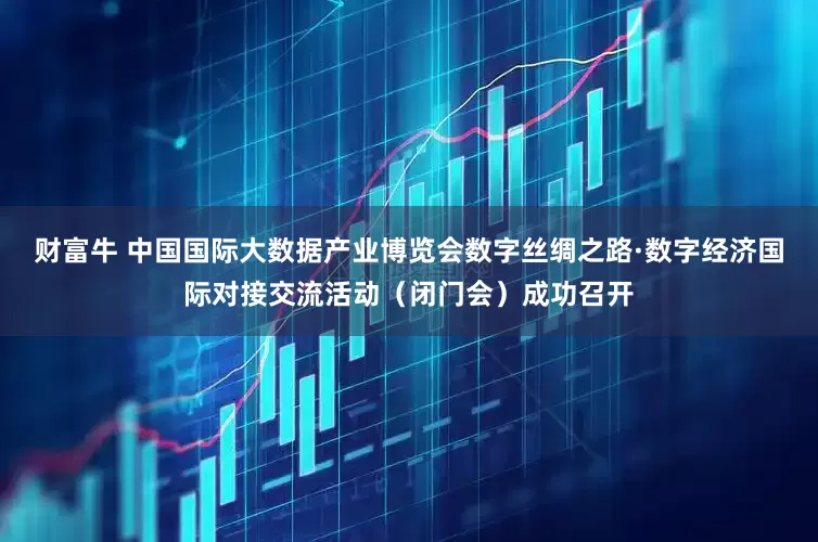 财富牛 中国国际大数据产业博览会数字丝绸之路·数字经济国际对接交流活动（闭门会）成功召开